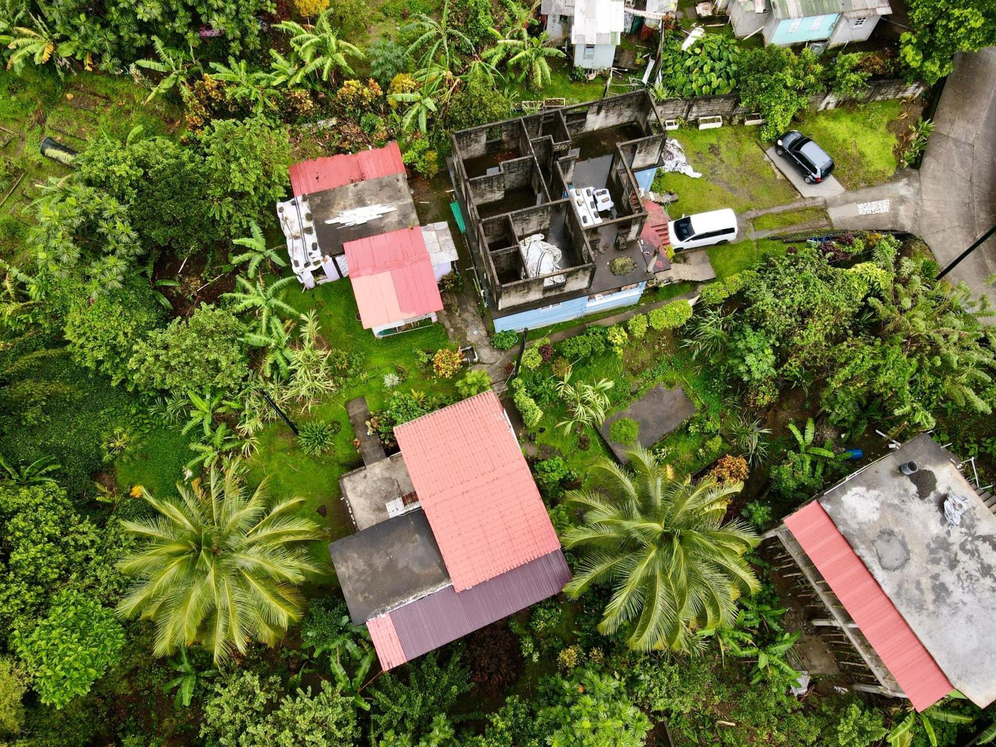Anthurium Apartment Roseau Exterior photo